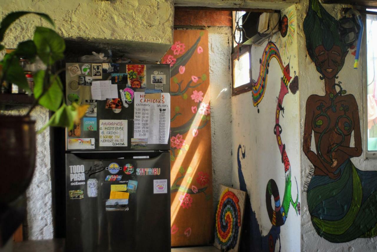 Viejo Lobo Hostel Cabo Polonio Kültér fotó